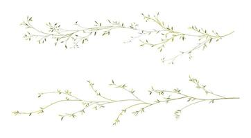 Set of watercolor small leaves elements vector