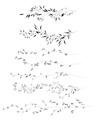Set of botanical leaves branches with hand drawn in line art