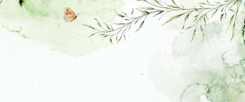 Abstract watercolor background with botanical and butterfly on watercolor stains vector
