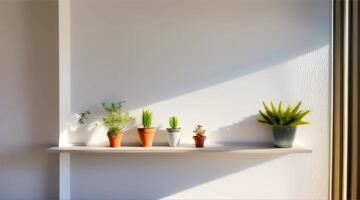 Three potted plants on a shelf in front of a window video