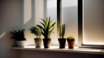 Three potted plants sit on a window sill video