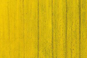 Top View of Abstract Yellow Farm Field with Tractor Tracks photo