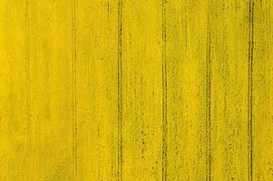 Top View of Abstract Yellow Farm Field with Tractor Tracks photo