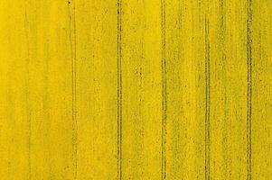 Top View of Abstract Yellow Farm Field with Tractor Tracks photo