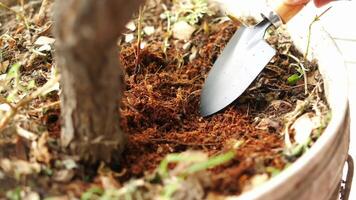 A person is using a shovel to dig up dirt video