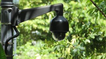 A security camera mounted on a pole in front of a green tree video