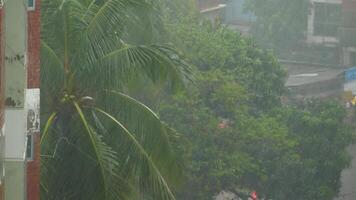 A view of a street in the rain with palm trees video