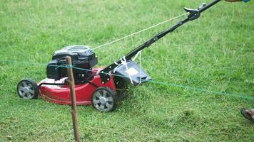 A person is using a lawn mower to cut grass video