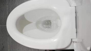 A close up of a toilet bowl with the lid open video