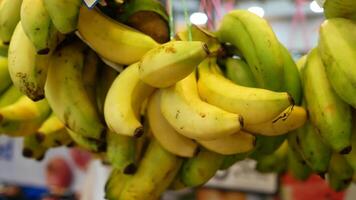 A bunch of bananas hanging from a string video