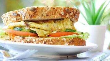 A sandwich with egg, cheese and tomato on a white plate video