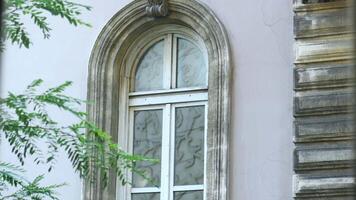 A beautiful elegant arched window that is surrounded by lush and vibrant greenery video