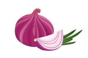 fresh red onion on white. illustration. vector