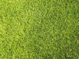 Top View, Blurred Green Artificial Turf Texture for Design photo