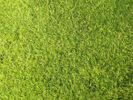 Top View, Blurred Green Artificial Turf Texture for Design photo