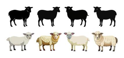 Set of black silhouette and colorful cartoon sheep isolated on a white background. Concept of farm animals, domestic sheep, cute livestock, rural illustration. Print, icon, design elements. vector