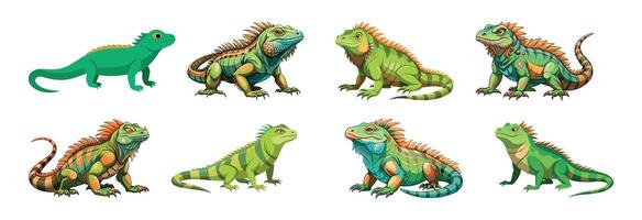 Colorful set of cartoon iguanas isolated on a white background. Concept of reptile illustrations, cute iguana characters, vibrant lizards, nature-themed design elements vector
