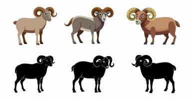Set of cartoon rams isolated on white background. Colorful illustrations and black silhouettes. Concept of farm animals, livestock, cute sheep. Print, icon, design elements. vector