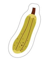 Sticker with a zucchini. Color flat illustration. vector
