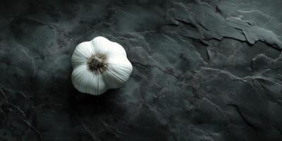 Single garlic bulb on dark slate textured surface minimalist culinary art photo