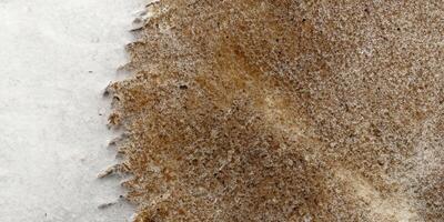 Close-up of brown rugged texture on frosted surface highlighting natural patterns photo