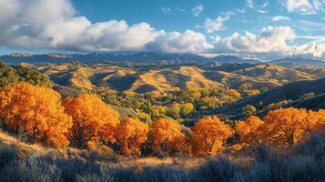 Nature Background, High-Resolution Wallpaper for a Serene and Stunning View photo