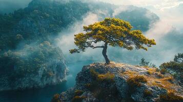 Nature Background, High-Resolution Wallpaper for a Serene and Stunning View photo