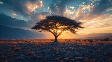 Nature Background, High-Resolution Wallpaper for a Serene and Stunning View photo