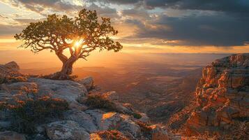 Nature Background, High-Resolution Wallpaper for a Serene and Stunning View photo