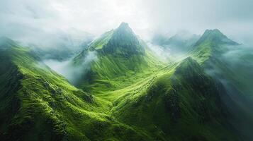 Nature Background, High-Resolution Wallpaper for a Serene and Stunning View photo