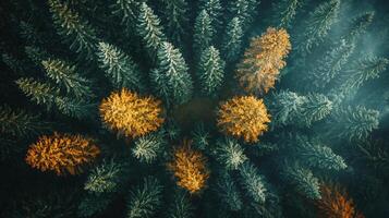 Nature Background, High-Resolution Wallpaper for a Serene and Stunning View photo