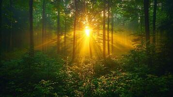 Nature Background, High-Resolution Wallpaper for a Serene and Stunning View photo