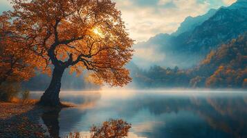 Nature Background, High-Resolution Wallpaper for a Serene and Stunning View photo