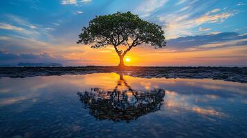 Nature Background, High-Resolution Wallpaper for a Serene and Stunning View photo