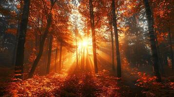 Nature Background, High-Resolution Wallpaper for a Serene and Stunning View photo
