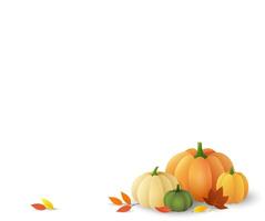 Thanksgiving day background for design with pumpkins and autumn leaves isolated on white vector