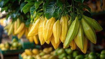 Freshly harvested cocoa pods drying in wicker basket photo