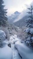 Fog rolling through snowy mountains covered in pine trees photo