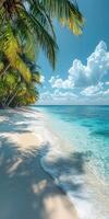 Turquoise water gently lapping on tropical beach shore with palm trees photo