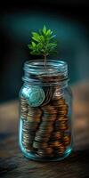 Small tree growing from coins in glass jar symbolizing investment photo