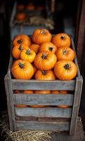 A crate full of pumpkins with a rustic wooden crate. The pumpkins are orange and arranged in a pile photo