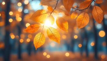 A leafy tree branch with a sun shining on it. The sun is casting a warm glow on the leaves, creating a serene and peaceful atmosphere photo