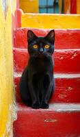 A black cat is sitting on a red staircase. The cat is looking at the camera with yellow eyes. The scene is set in a colorful environment, with the red staircase and the yellow walls creating a vibrant photo