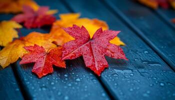 A close up of a few red leaves on a wooden surface. The leaves are wet and shiny, and the overall mood of the image is serene and peaceful photo
