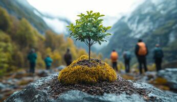A small tree is growing on a rock in the mountains. The people in the background are walking and enjoying the scenery. Concept of peace and tranquility photo