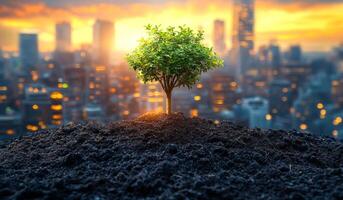 A small tree is growing on a hill in the middle of a city. The tree is surrounded by a dark, rocky hill and the city skyline in the background. Concept of hope and resilience photo