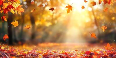 In this serene autumn park, vibrant orange and deep red leaves create a stunning display, as warm sunlight filters through trees, crafting a peaceful moment that invites tranquility and reflection photo