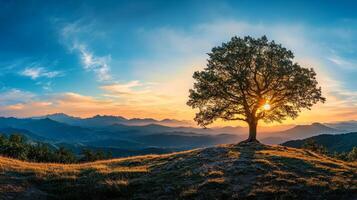 A stunning sunset illuminates a solitary tree on a picturesque hill, casting beautiful shadows against the vibrant sky and majestic mountains, creating a serene atmosphere for nature appreciation photo