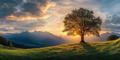 A majestic tree silhouette stands tall against a stunning sunset, with beautiful mountains and clouds enhancing the serene rural atmosphere, creating a captivating and picturesque view photo