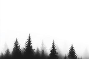 A peaceful and serene black silhouette of pine trees emerges against a soft, foggy white background, beautifully evoking a sense of tranquility and harmony within the wonders of nature photo